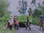 Bangun Jaringan Baru, PLN Berhasil Tembus 4 Desa di Pelosok NTT dengan Listrik 24 Jam!*
