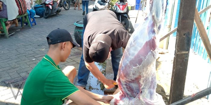 Kurban Bersama PT Karsa Nusantara Jaya: 6 Kambing untuk Yatim dan Dhuafa