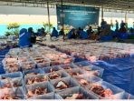 PT PLN (Persero) UIP JBTB Gelar Penyembelihan dan Penyaluran Hewan Qurban 1445 H