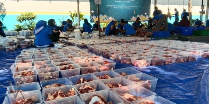 PT PLN (Persero) UIP JBTB Gelar Penyembelihan dan Penyaluran Hewan Qurban 1445 H