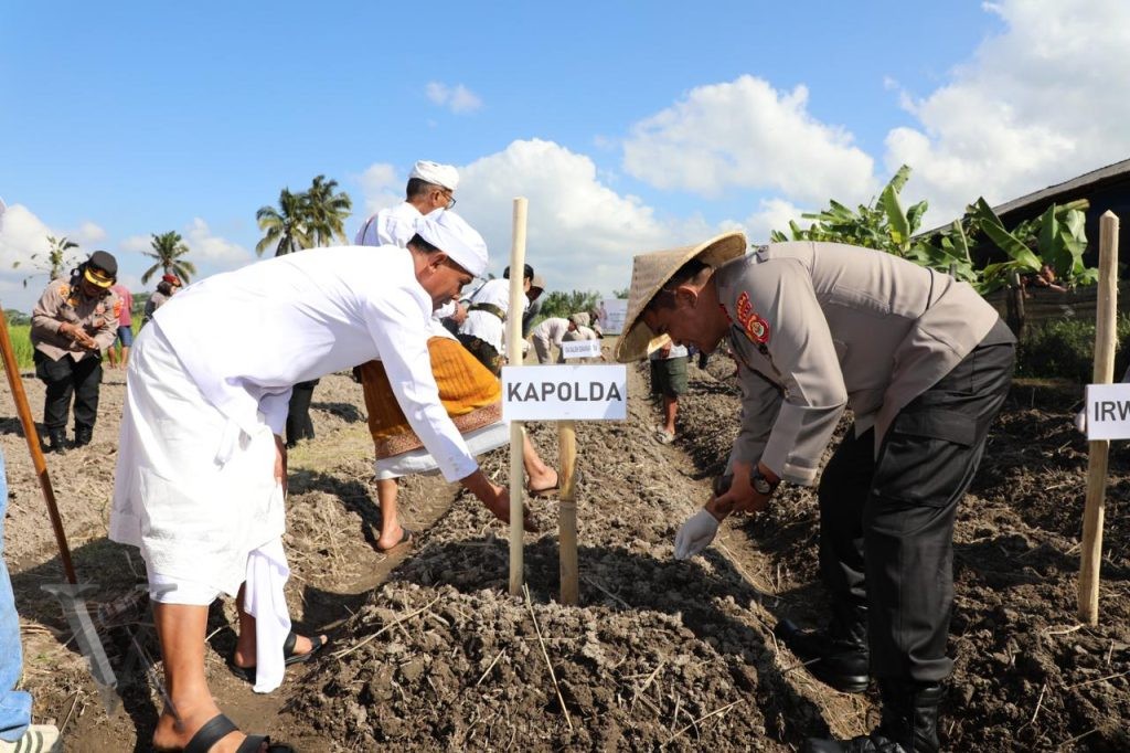 Sambut Hari Bhayangkara Ke 78 Pnpp Wanita Polda Bali Tanam Pohon Sorgum 1024x682