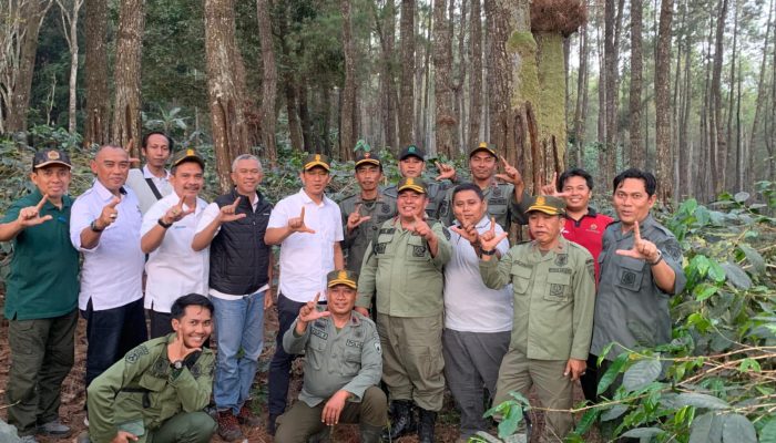 Kunjungan Kerja Wakil Kepala Perhutani Jatim untuk Evaluasi dan Motivasi Pengelolaan Agroforestry di KPH Bondowoso