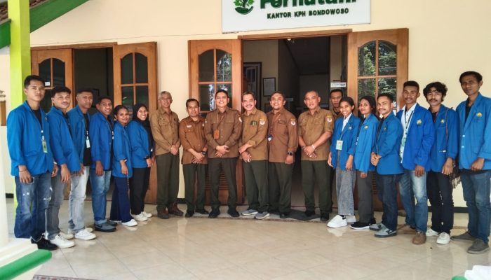 Perum Perhutani Bondowoso Terima 13 Mahasiswa PKL Politani Kupang, Siapkan Generasi Muda Pengelola Hutan