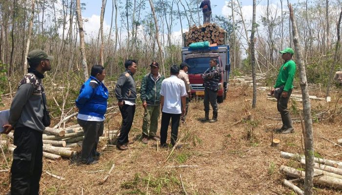 Perhutani Bondowoso Gencarkan Program “Trabas Buana” untuk Optimalkan Produksi Kayu Menjelang Akhir Tahun 2024