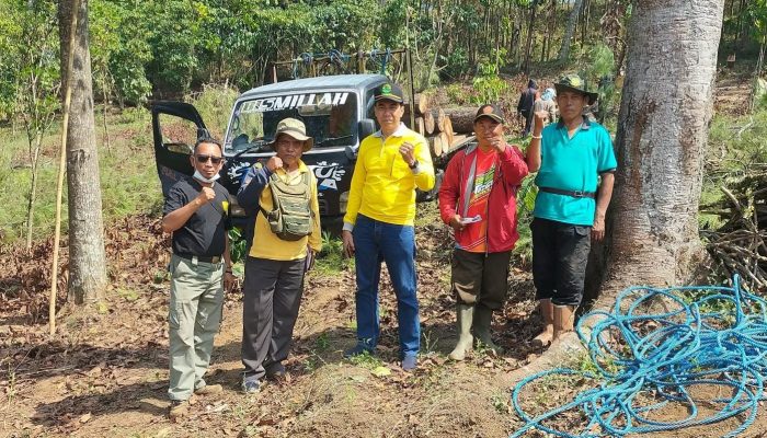 Tim “Trabas Buana” Perhutani Bondowoso Pastikan Kegiatan Tebang Habis di BKPH Sumber Wringin Berjalan Lancar