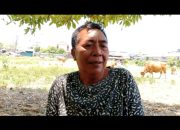 DITUDUH MEMBERIKAN KETERANGAN PALSU MADE SELEPEG DI ANCAM PIDANA 2 THN