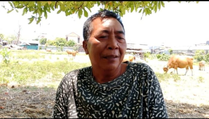 DITUDUH MEMBERIKAN KETERANGAN PALSU MADE SELEPEG DI ANCAM PIDANA 2 THN