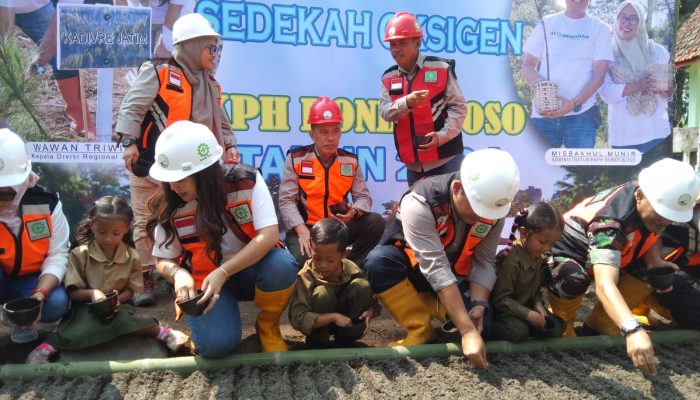 Perhutani Jawa Timur Gelar Reboisasi Massal dengan Penanaman Bibit Pinus, Upaya Nyata Sedekah Oksigen untuk Masa Depan