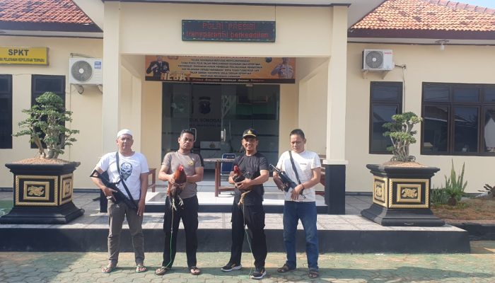 Polres Sampang Gencar Berantas Perjudian, Dua Hari Berturut-Turut Bubarkan Arena Sabung Ayam