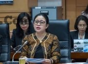 DPR RI dan Implementasi UU TPKS: Tantangan dan Harapan Ke Depan