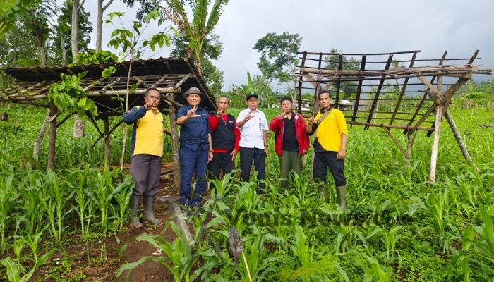 Perum Perhutani KPH Bondowoso Pantau Kegiatan Reboisasi di Musim Hujan 2024-2025