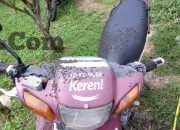 Serbuan Lalat di Kintamani: Limbah Kotoran Ternak Ganggu Masyarakat dan Wisatawan