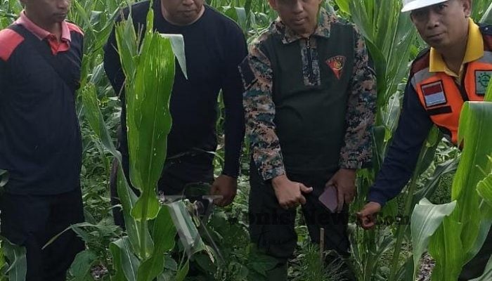 Keberhasilan Reboisasi, Harga Mati bagi Rimbawan Perum Perhutani KPH Bondowoso