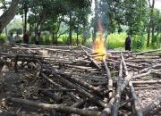 Patroli Drone, Polres Pasuruan Kota Berhasil Identifikasi dan Bongkar Lokasi Sabung Ayam