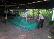 Berantas Perjudian Polisi Bongkar Arena Sabung Ayam di Nganjuk