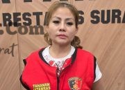 Pengusaha Surabaya Jan Hwa Diana Ditangkap Terkait Pengrusakan Mobil
