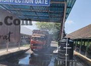 Jelang Iduladha, Karantina Bali Pastikan Kesehatan 40 Ribu Lebih Sapi Kurban Siap Kirim