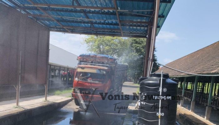 Jelang Iduladha, Karantina Bali Pastikan Kesehatan 40 Ribu Lebih Sapi Kurban Siap Kirim