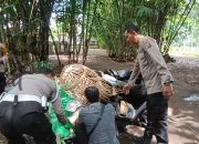 Tegas Berantas Perjudian Polisi Bongkar Lima Arena Sabung Ayam di Jember