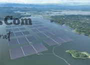 Memperingati Hari Lingkungan Hidup, Begini Sebaran EBT Tiap Pulau, PLTS dan PLTA Jadi Kontributor Terbesar pada RUPTL 2025-2034