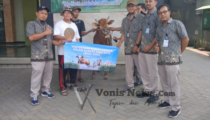 Perumda Air Minum Surya Sembada Salurkan 14 Sapi Kurban pada Idul Adha 1446 H: Wujud Kepedulian dan Komitmen Layanan untuk Warga Surabaya