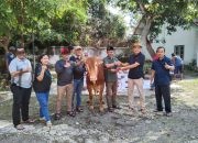 Perum Perhutani KPH Bondowoso Laksanakan Pemotongan Hewan Qurban Idul Adha 1446 H
