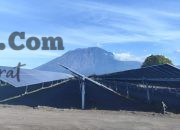 Semarak Hari Pancasila, EVP MKJ PT PLN (Persero) dan GM PT PLN (Persero) UIP JBTB Tinjau Pembangunan PLTS Bali Timur