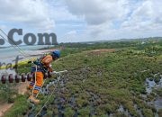 Wujud Kontribusi ke Negara, PLN Setor Rp65,59 Triliun Lewat Dividen, Pajak, dan PNBP, Listrik untuk Rakyat