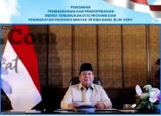 Bukti PLN untuk Rakyat, 47 PLTS Diresmikan Presiden, 5.383 Rumah Tangga di Wilayah 3T Kini Nikmati Listrik Bersih