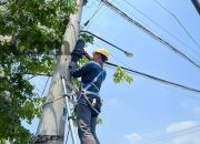 PLN Icon Plus Terus Perkuat Keandalan Layanan Lewat Preventive Maintenance Jaringan Fiber Optik
