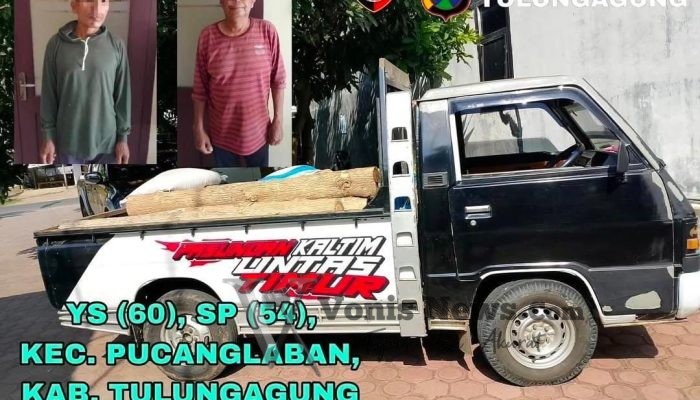 Polsek Pucanglaban Tangkap 2 Pelaku Ilegal Logging, Amankan 21 Batang Kayu Jati dan Mobil Pick Up