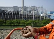 Ajang PLN Journalist Awards 2025 Dibuka, Apresiasi untuk Pewarta Penggerak Literasi Energi Nasional