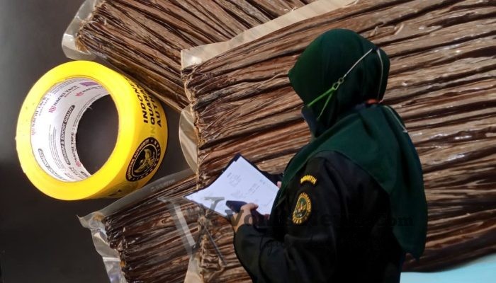 Ekspor Vanili Bali Melonjak, Bukti Kualitas “Emas Hijau” Nusantara Diakui Dunia