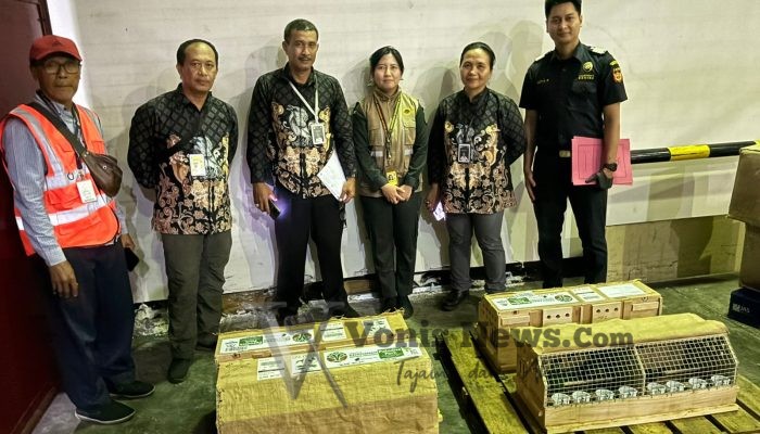 Karantina Bali Pastikan Perkici Dada Merah Hasil Repatriasi dari Inggris dalam Kondisi Sehat dan Aktif