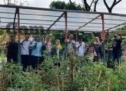 YBM PLN UIP JBTB Dukung KUC Cah Angon Kembangkan Budidaya Lele untuk Kemandirian Warga Ketintang