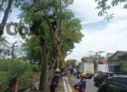 Terus Berkomitmen Wujudkan Layanan Andal, PLN Icon Plus Bersama Pemkot Surabaya Tata Ulang Infrastruktur Digital Kota