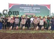 Polresta Banyuwangi Dorong Penguatan Ketahanan Pangan Lewat Penanaman Jagung Kuartal IV 2025