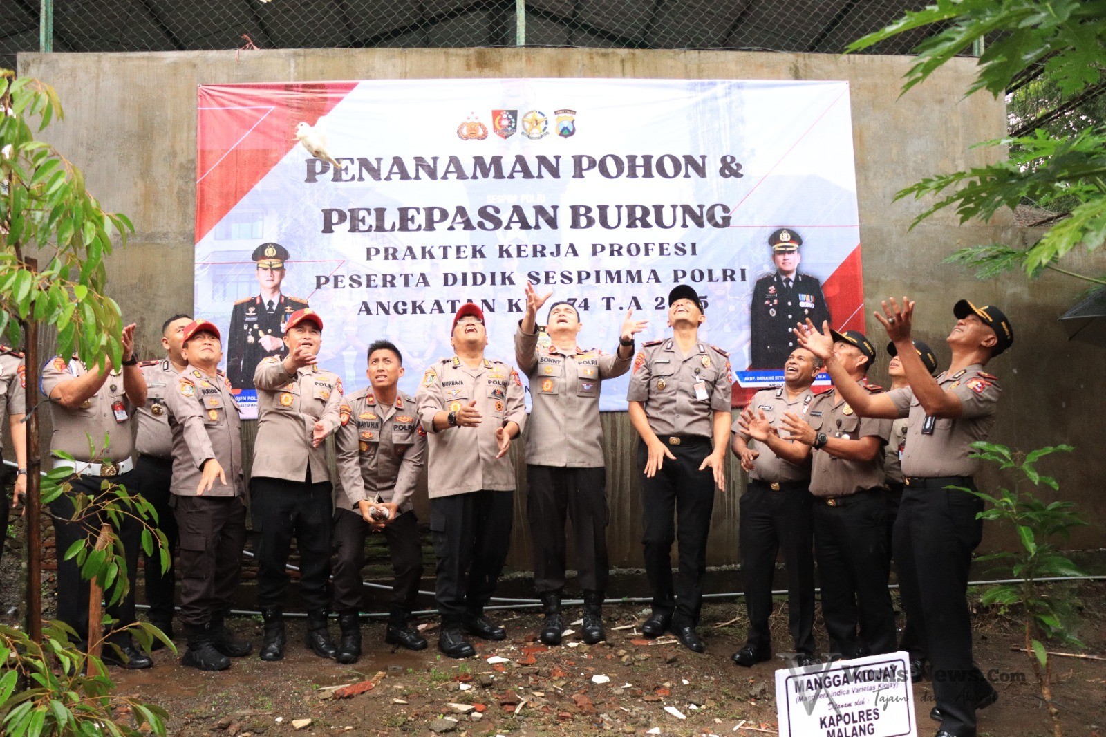 Img 20251112 Wa0044