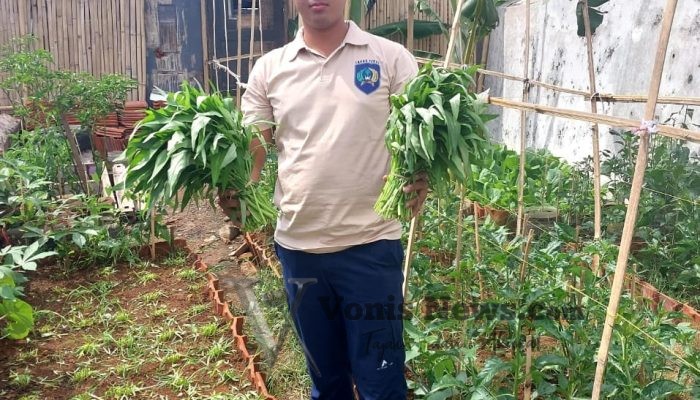 Panen Kangkung Lagi, Bukti Nyata Ketahanan Pangan Mandiri Lapas Tegal