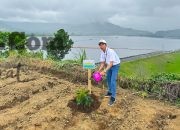 PLN Icon Plus dan PLN Grup Jawa Timur Tanam 10.000 Bibit Pohon di Bendungan Selorejo Peringati Hari Menanam Pohon Indonesia 2025