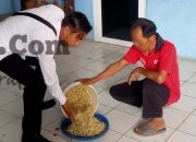 Lapas Kelas IIB Batang Panen Tauge, Dukung Kemandirian dan Ketahanan Pangan Warga Binaan
