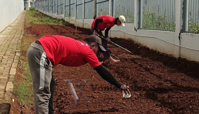Warga Binaan Lapas Kelas IIB Batang Olah Lahan Pertanian untuk Dukung Ketahanan Pangan