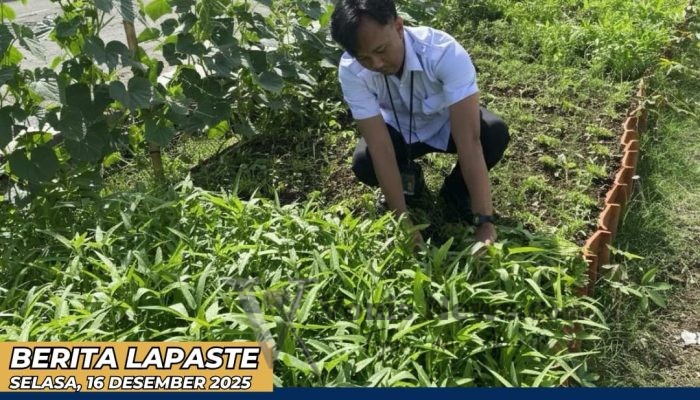 Lapas Tegal Panen Kangkung Lagi, Penuhi Kebutuhan Gizi Warga Binaan