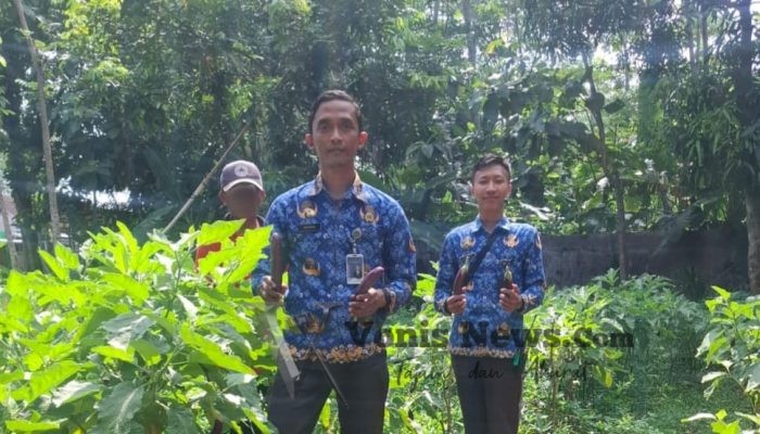 Wujudkan Kemandirian dan Ketahanan Pangan, Warga Binaan Lapas Batang Panen Terong