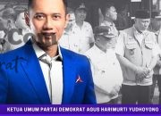 Demokrat Apresiasi Kepemimpinan Presiden Prabowo dalam Penanganan Bencana Nasional