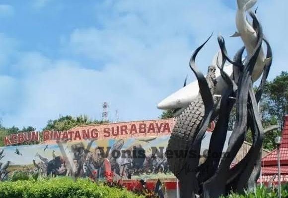 MAKI Jatim Dukung Penggeledahan Kejati di KBS, Soroti Dugaan Mega Korupsi dan Raibnya 430 Satwa