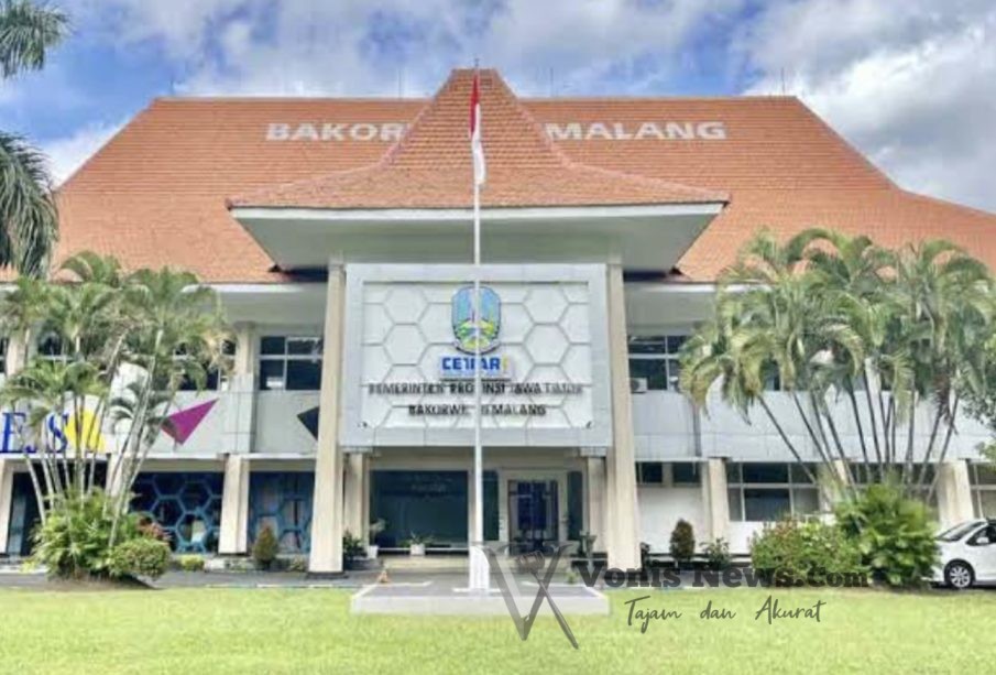 15031435b7a938d542db40bf24a30cfe8591943f6d7c04a9b5576378fa7ad60c.0