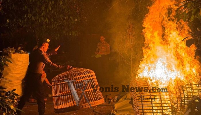 Polisi Sikat Arena Judi Sabung Ayam di Plemahan, Barang Bukti Diamankan Meski Pelaku Kabur