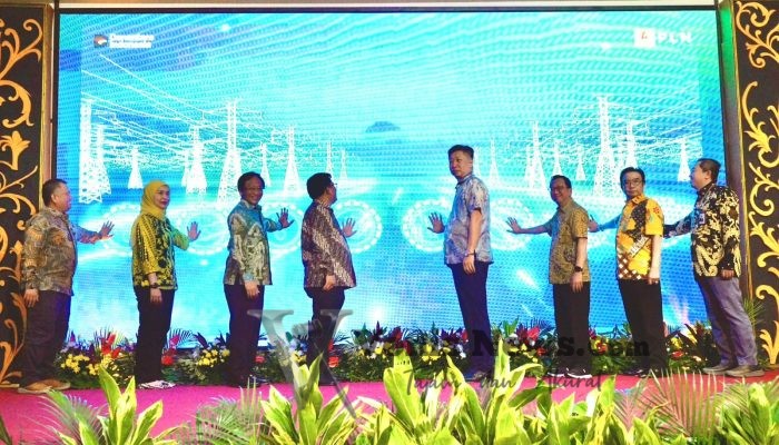Dorong Transisi Energi dan Electrifying Lifestyle, PLN Suplai Listrik Andal ke IKPP Karawang
