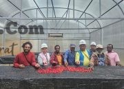 Moment Hari Buruh, PLN Peduli Bantu Kopi Tiom Papua Tembus Pasar Nasional dan Tingkatkan Penghasilan Petani